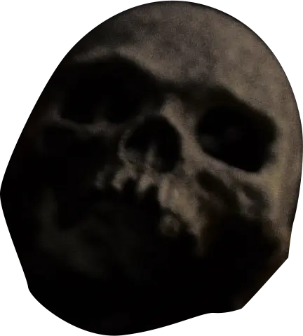 skull